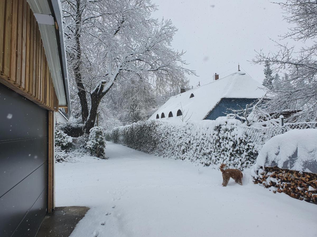 Haus Gutland Villa Wedel Exteriör bild
