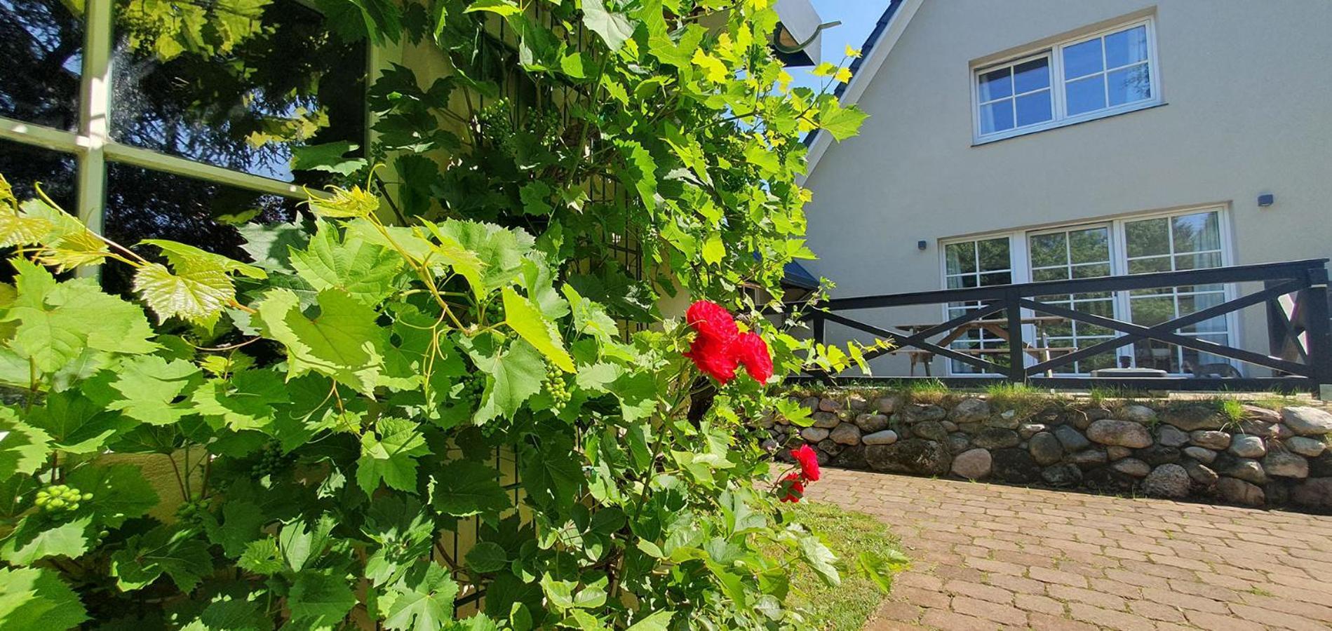 Haus Gutland Villa Wedel Exteriör bild